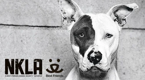 NKLA