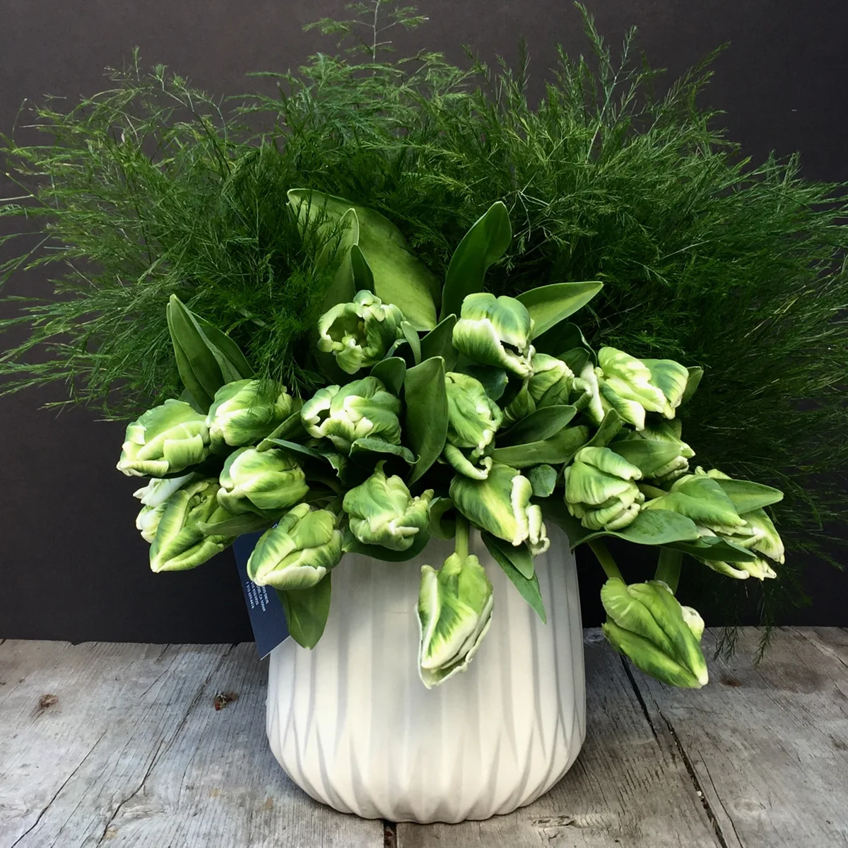 Parrot tulips in a fluted white vase