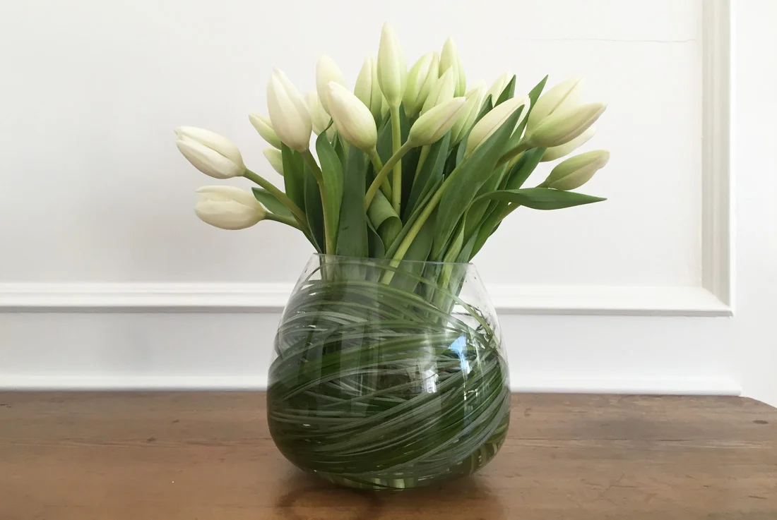 White tulips, simply
