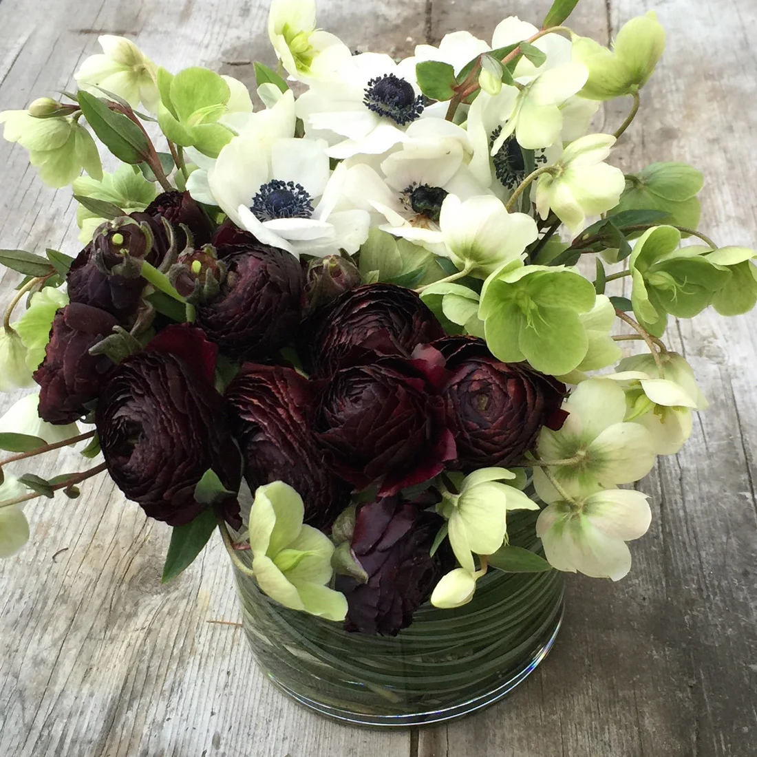 Anemone, ranunculus and hellebore