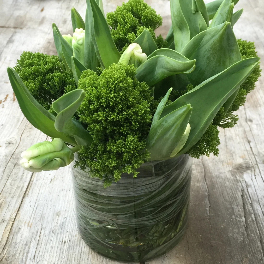 Tulips and viburnum