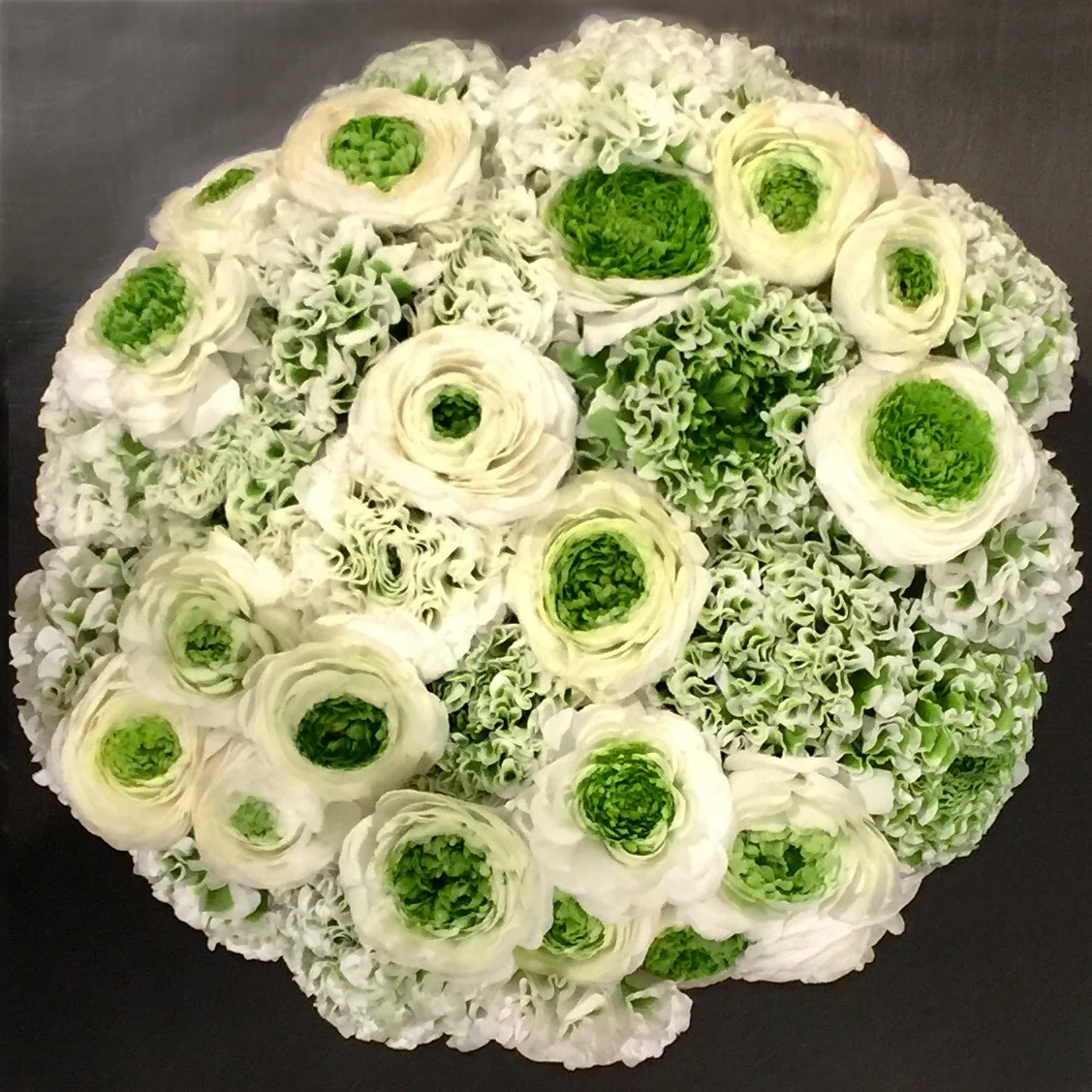 Ranunculus dome, white and green