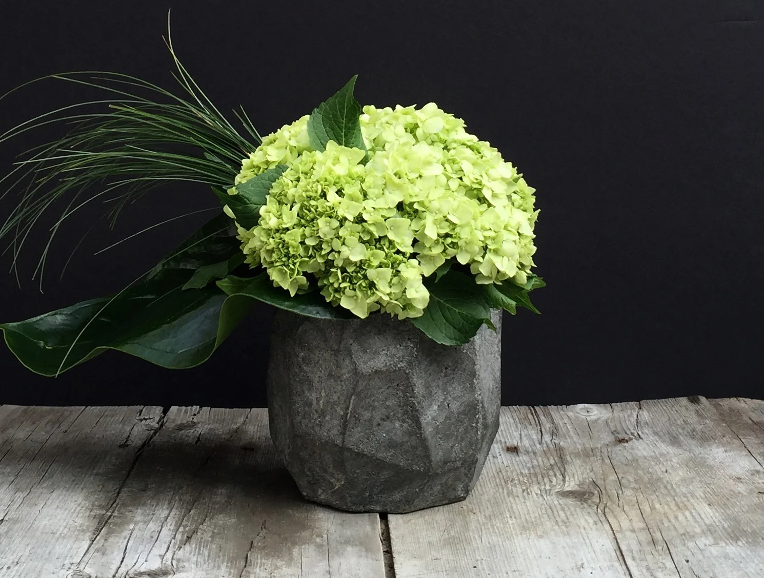 Green hydrangea in cast stone