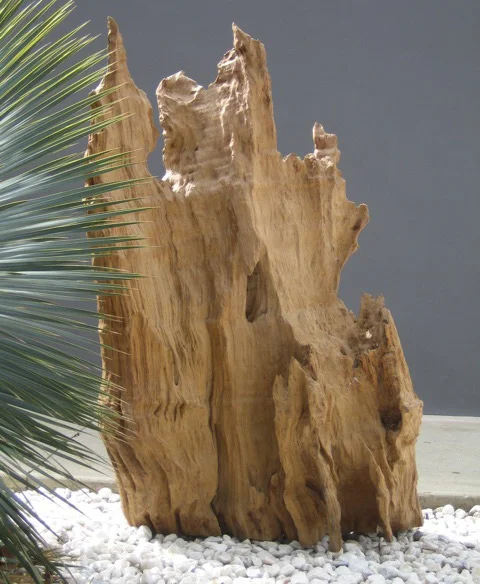Driftwood Root Sculpture