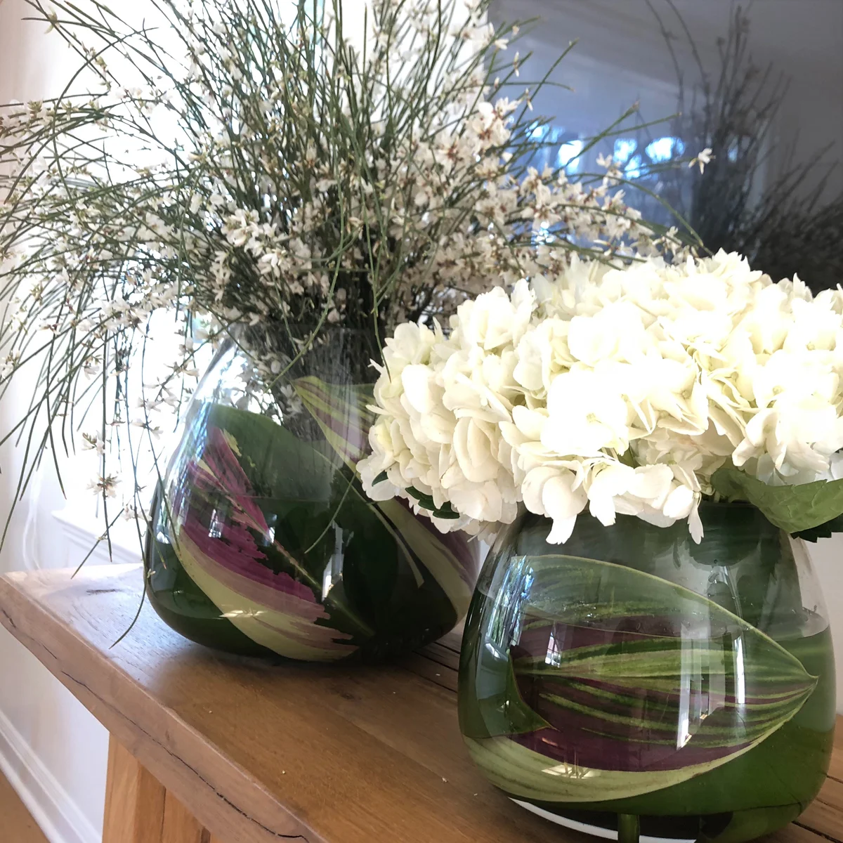 Twin vases of white hydrangea on a sunlit console
